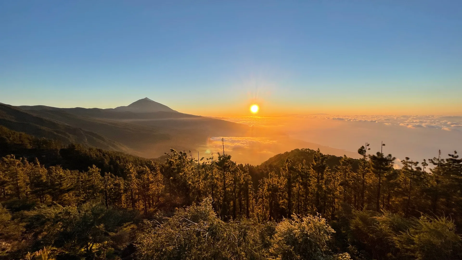 Lohnt sich Tenerife 2026 noch? Ehrliche Antwort für Erstbesucher
