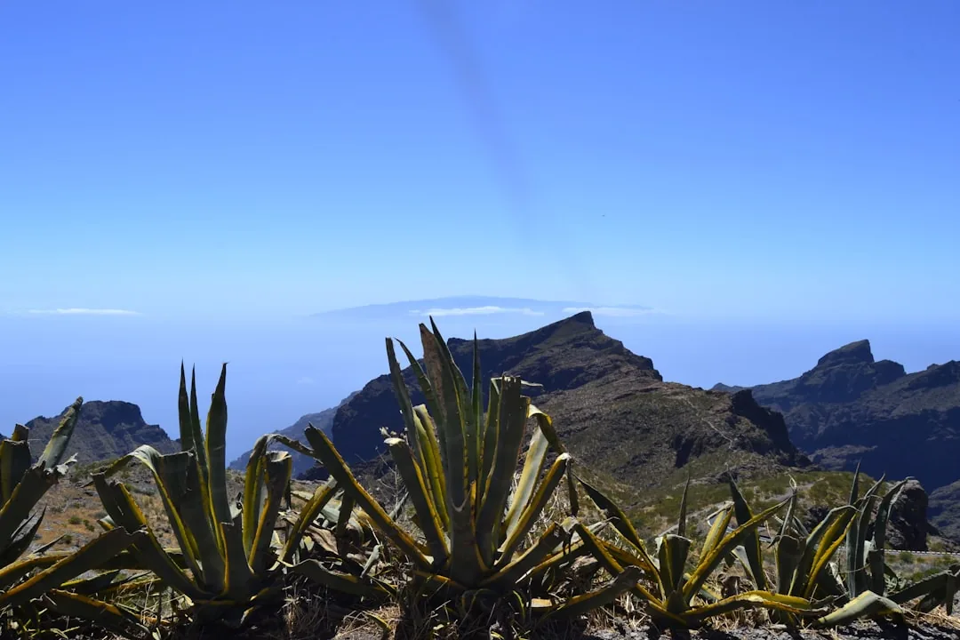 Tenerife met een beperkt budget: 10 geweldige gratis dingen om te doen op het eiland