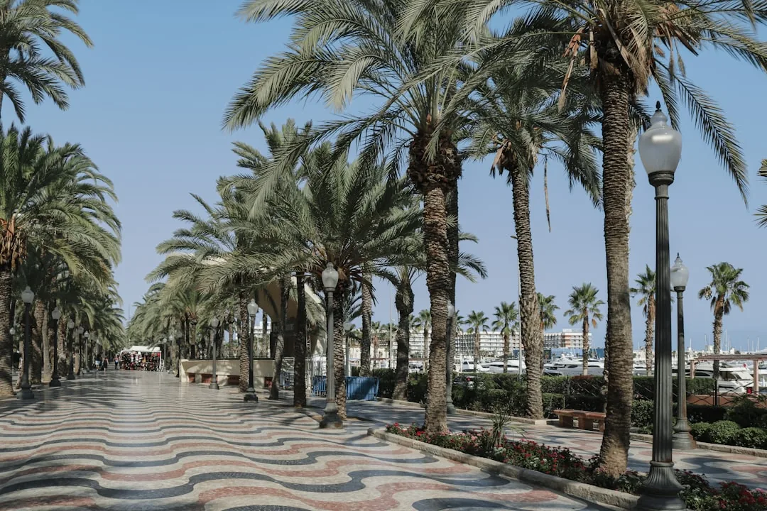 The Ultimate Guide to South Tenerife: Costa Adeje, Playa de las Américas & Los Cristianos