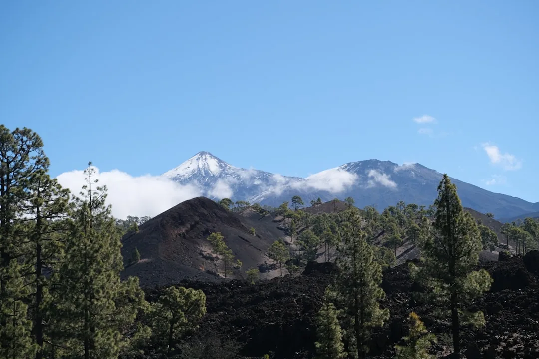 De berg Teide bezoeken zonder auto (de slimme reizigersgids)